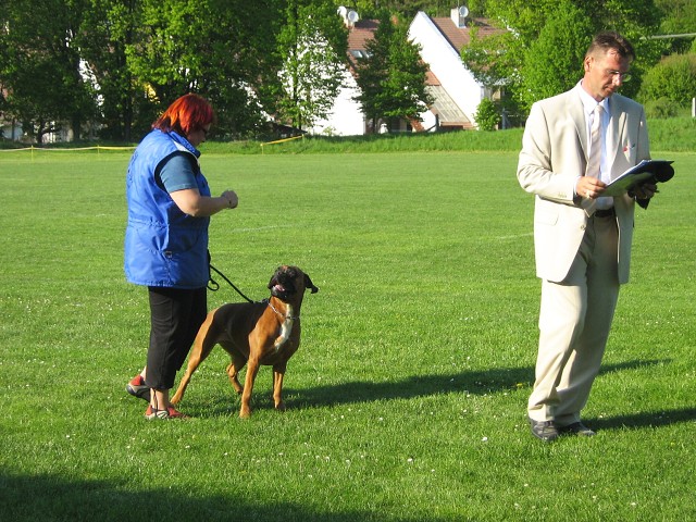 www.atibox.net * www.euroboxer.eu * www.boxergenealogia.eu